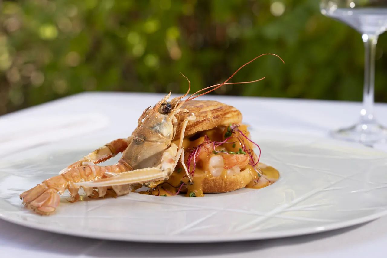 Langoustine dressée